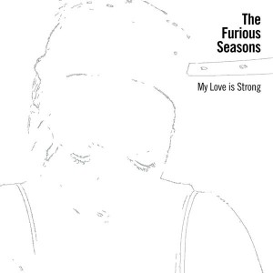 The Furious Seasons Cover courtesy of Independent Music Promotions