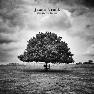 James Brant cover courtesy of Independent Music Promotions